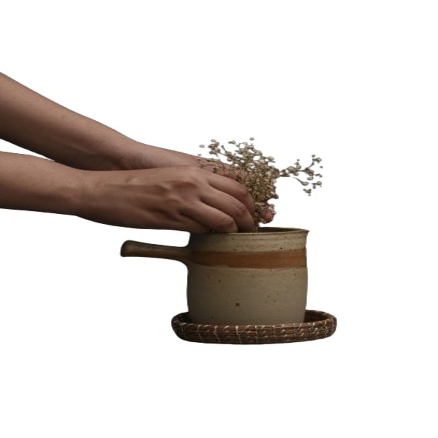 Pine Lily Pads Coasters (Set of 6)