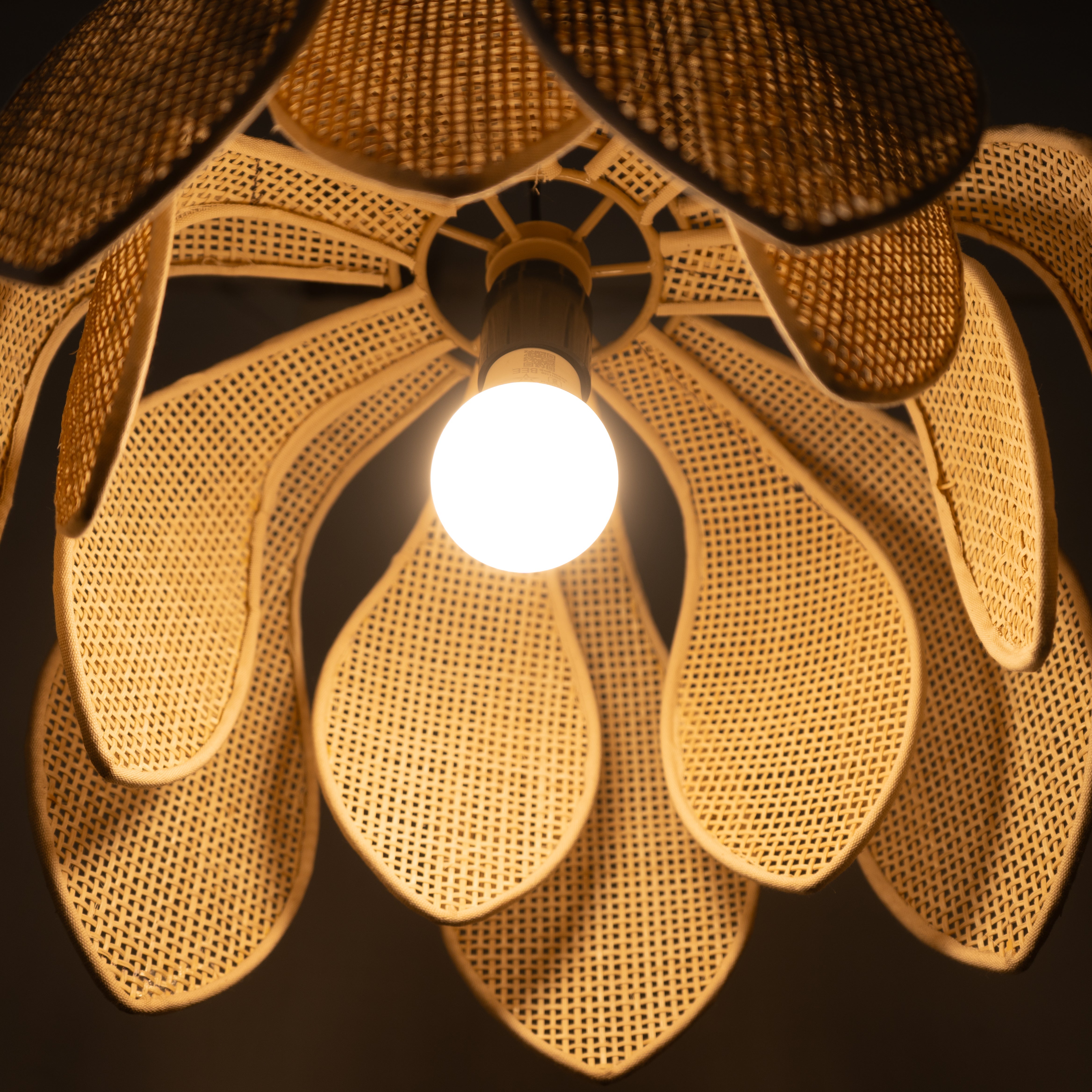 Handmade Blossom Beam Light