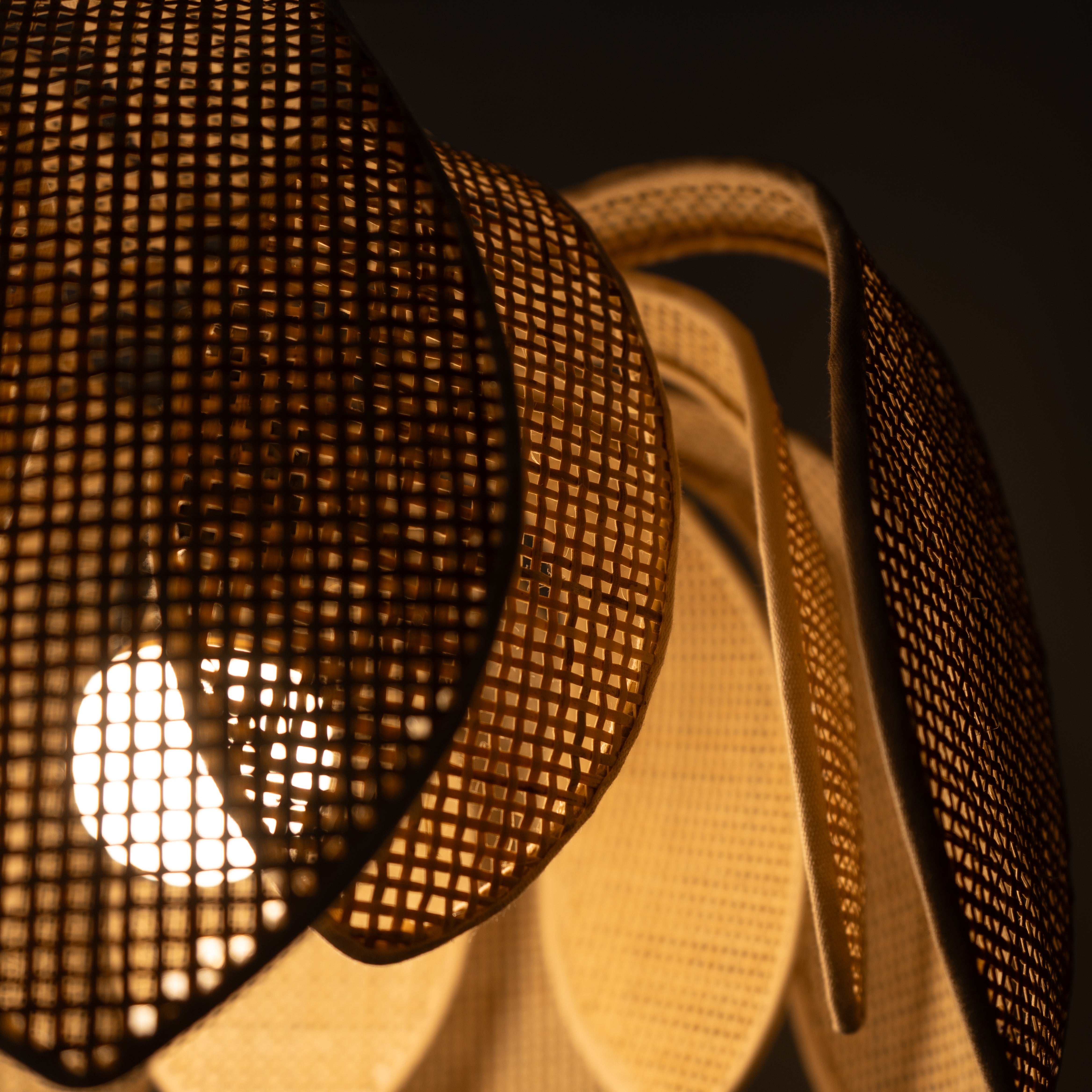 Handmade Blossom Beam Light