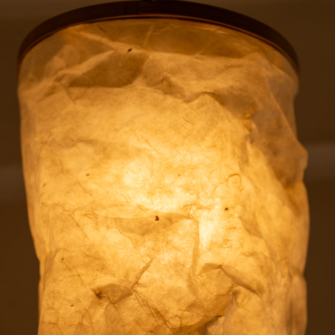 Daphne Paper Light