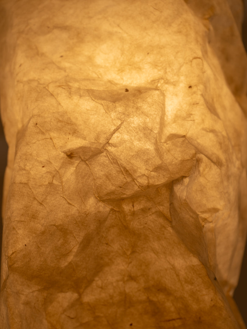 Daphne Paper Light