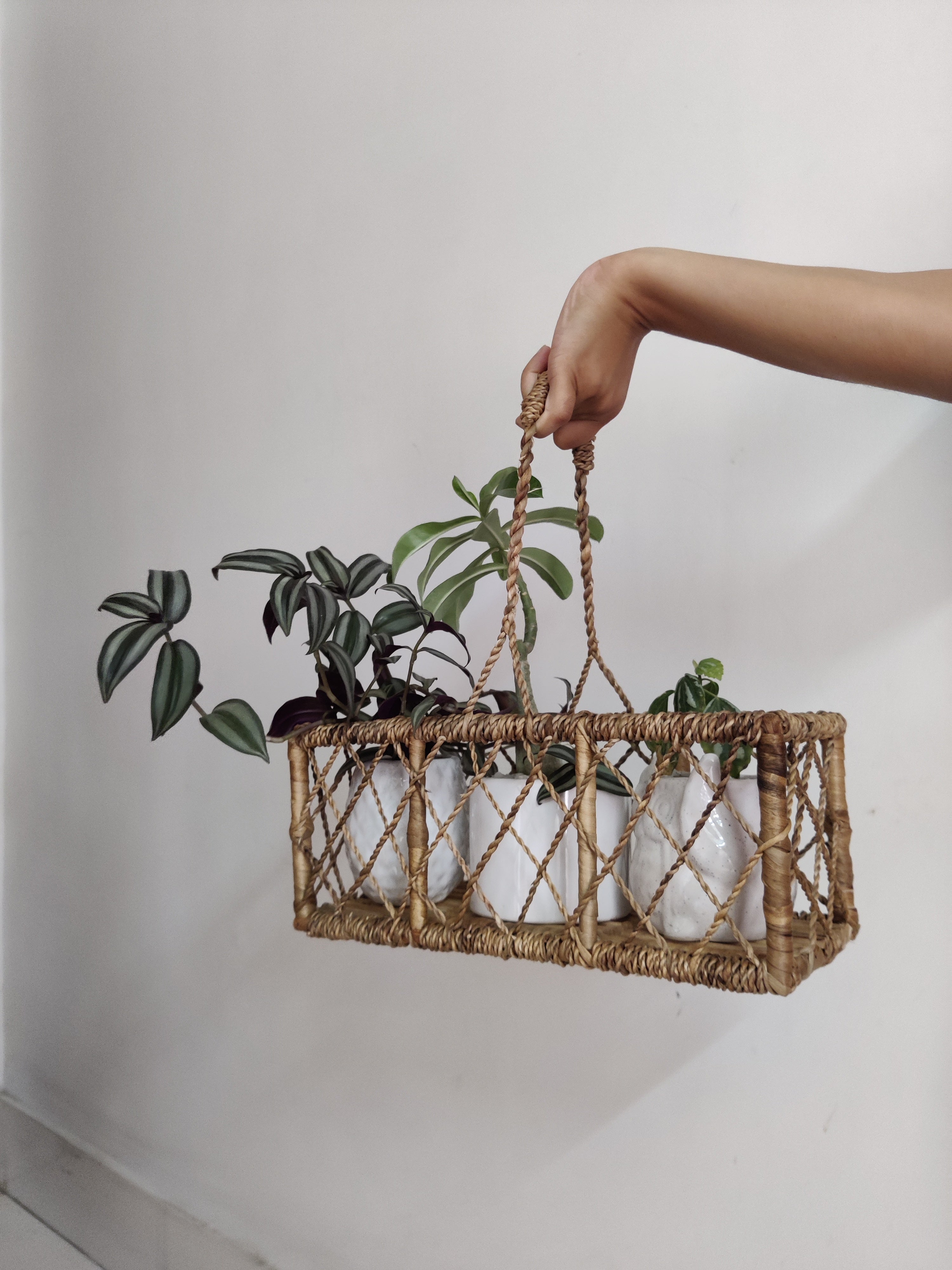 Cane and Water Hyacinth Knotty Basket with Handle