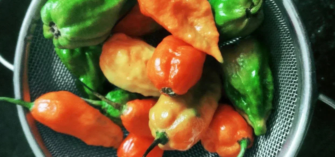 Exploring the Unique Flavours of Northeastern Cuisine